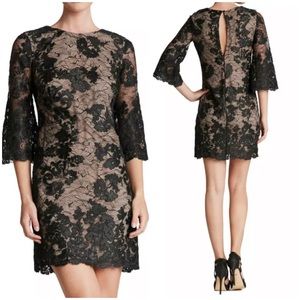 Dress the population melody shift dress lace embroidery bell sleeve bl…